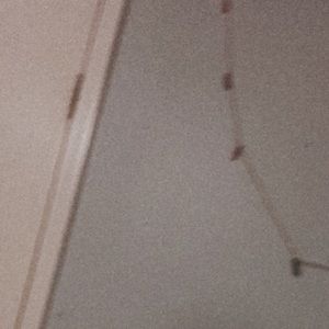 Meet your Posher, Naomi